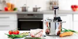 Monoprice-1100W-Sous-Vide