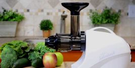Tribest Solostar Katı Meyve Sıkacağı
