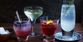 gin-cocktails-main-56d2303